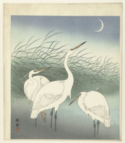 Herons in Shallow Water by Ohara Koson