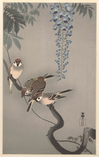 Tree Sparrows by Wisteria by Ohara Koson
