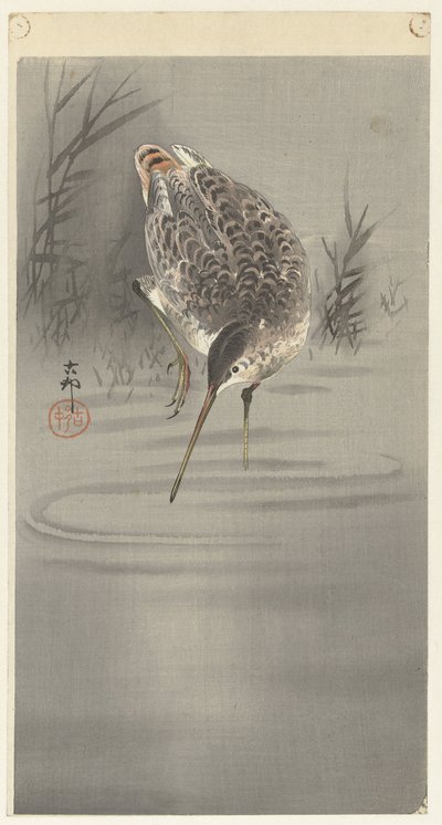 Snipe in Water by Ohara Koson