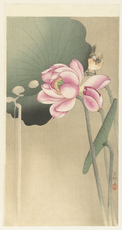 Songbird and Lotus by Ohara Koson