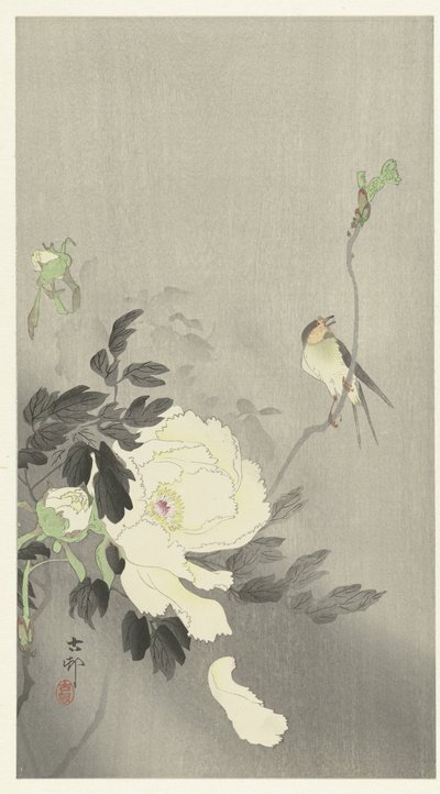 Swallow with Peony by Ohara Koson