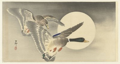 Two Ducks by Full Moon by Ohara Koson