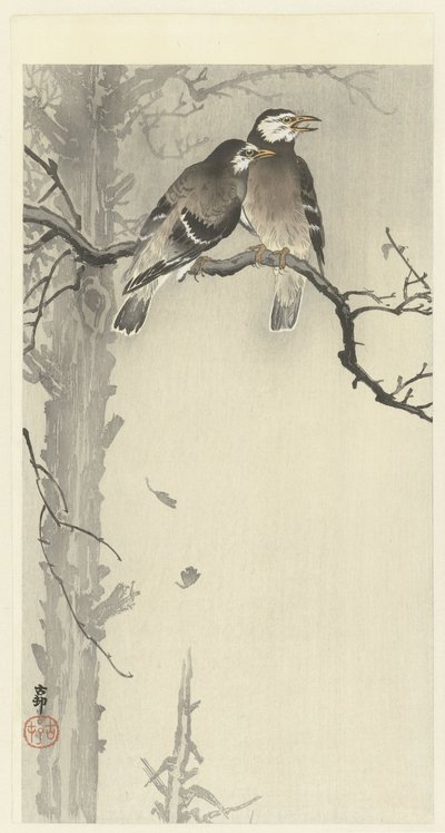 Two Grey Starlings by Ohara Koson