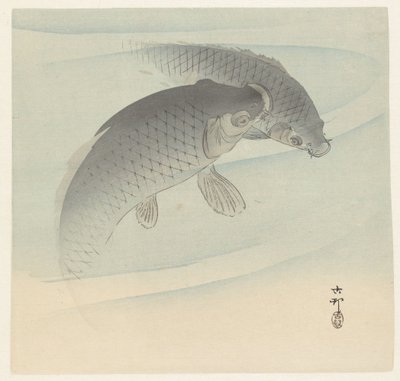 Two Carps by Ohara Koson