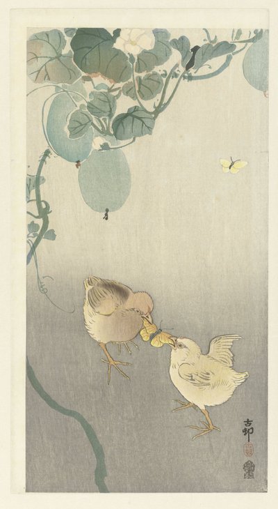 Two Chicks Fighting Over a Butterfly by Ohara Koson