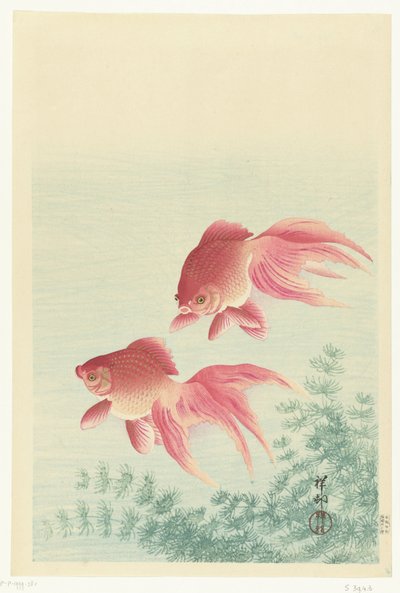 Two Veiltail Goldfish by Ohara Koson