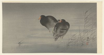 Two Moorhens by Ohara Koson
