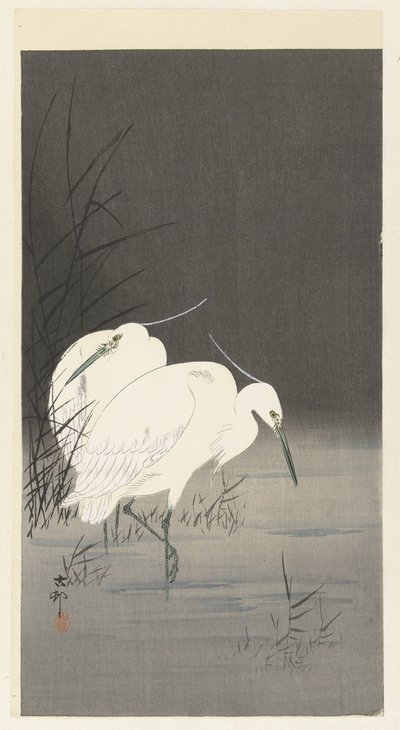 Two Egrets in the Reed by Ohara Koson