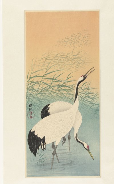 Two cranes by Ohara Koson