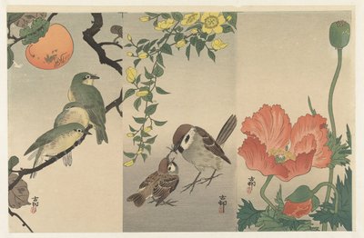 Birds and Plants by Ohara Koson