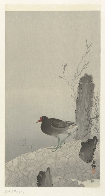 Moorhen by Ohara Koson