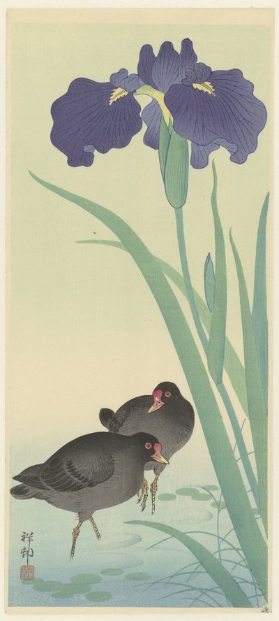 Moorhens and Iris by Ohara Koson