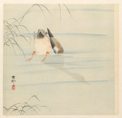 Wild Duck with Head Underwater by Ohara Koson