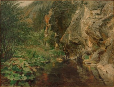 Gorge by Olga Wisinger Florian