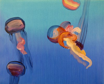 Jellyfish 14, 2013 by Olivier Morel