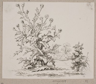 The Thistle and the Rose by Oluf Olufsen Bagge