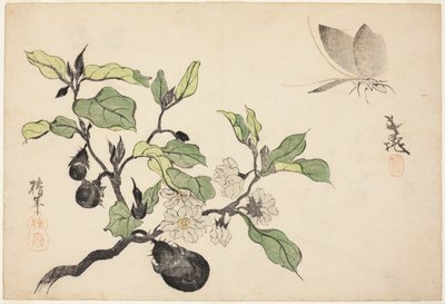 Eggplant with Fruit and Flowers by Onishi Chinnen