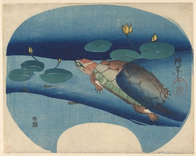 Fan print with turtle swimming among water lilies by Onishi Chinnen