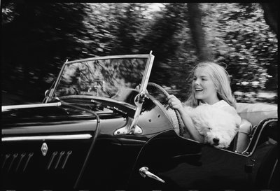 Janet Landgard driving with dog by Orlando Suero