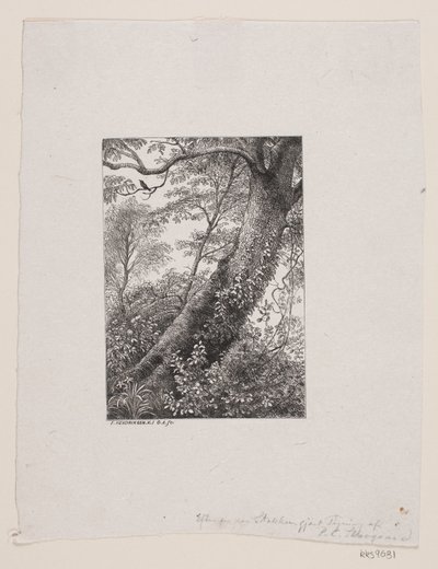 A Log by Oscar Andersen