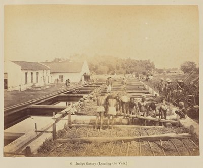 Indigo Factory (Loading the Vats) by Oscar Mallitte