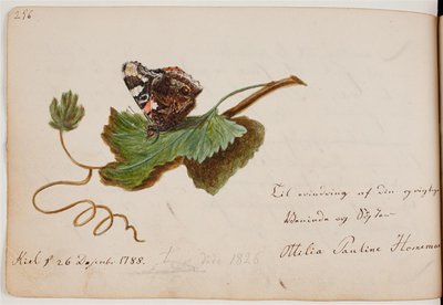 Butterfly on Leaf by Ottilie Pauline Horneman