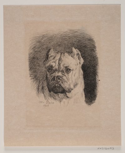 A Dog