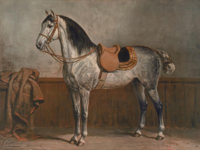 Lipizzaner by Otto Eerelman