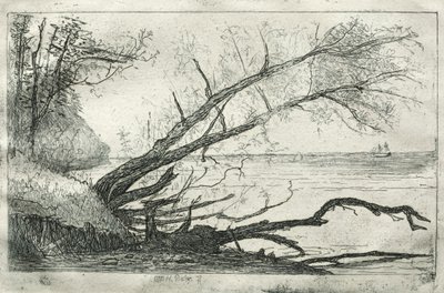 Old Sycamore by Otto H. Bacher