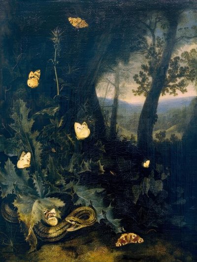 Forest Floor with Thistle and Snake by Otto Marseus  van Schrieck