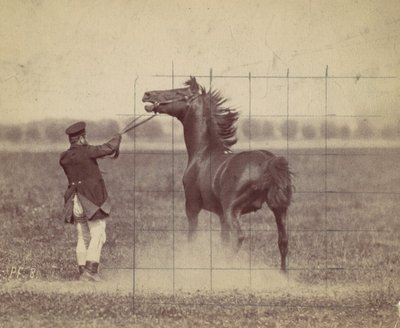 Horse by Ottomar Anschütz