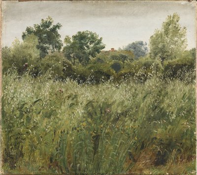 Field of Oats near Vejby by P.C. Skovgaard