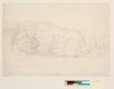 Forest Lake with Large Beeches in the Background by P.C. Skovgaard