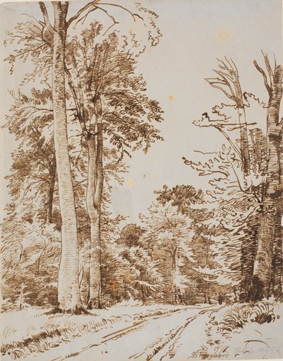 Forest Road. Iselinge by P.C. Skovgaard