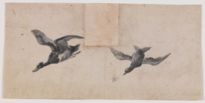 Two Flying Birds by Pandolfo Reschi