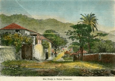 A Street in Roseau, Dominica by Pann