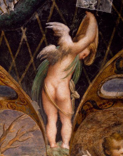 Putto, from Myth of Diana and Actaeon by Parmigianino