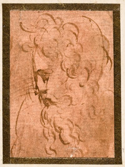 Male Head by Parmigianino