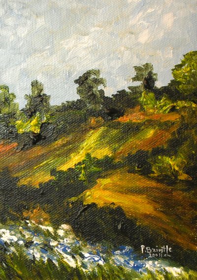 Blue Lupines at Trouin by Patricia Brintle