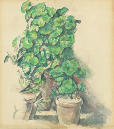 Geraniums, 1888-1890 by Paul Cézanne
