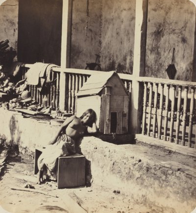 Garvel Dog (Martinique) by Paul Emile Miot