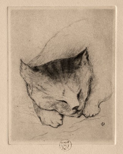 Six Etchings: Head of a Kitten by Paul Gachet