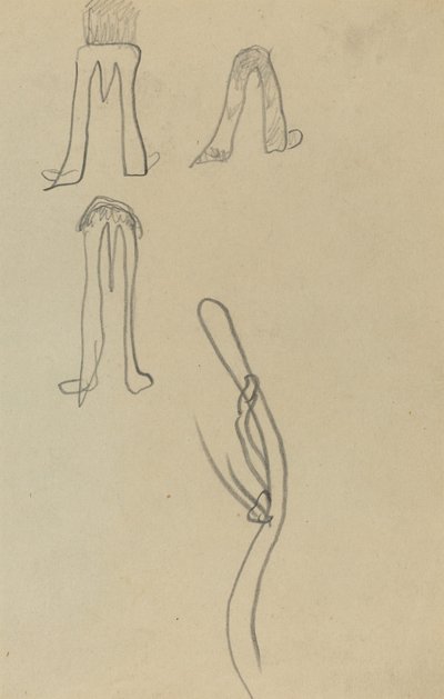 Four Fantastic Forms (recto) by Paul Gauguin