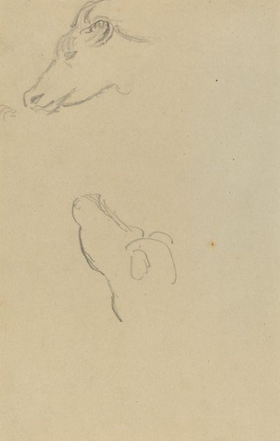 Head of a Cow by Paul Gauguin
