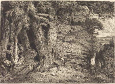 Entrance to the Forest by Paul Huet