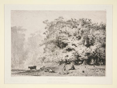Woods Near Fontainebleau by Paul Huet