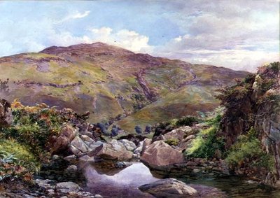 The Hill Stream by Paul Jacob Naftel