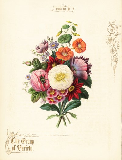 Bouquet of White Rose, Dahlia, Nasturtium, Auricula by Paul Jerrard