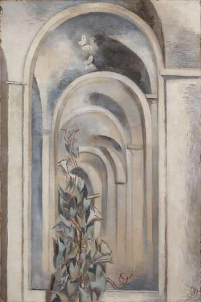 Convolvulus by Paul Nash