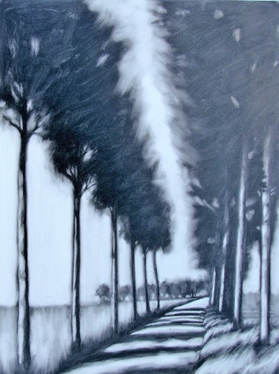 Avenue by Paul Powis